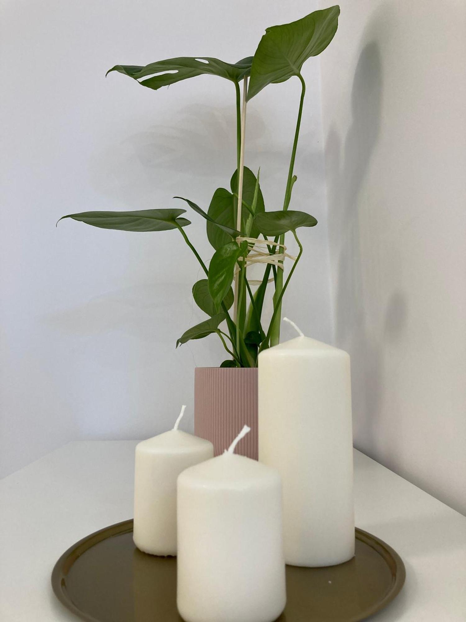 Duo 1 Debniki Apartment 크라쿠프 외부 사진